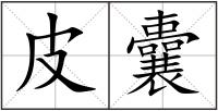 皮囊