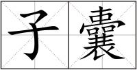 子囊