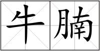 牛腩