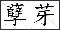 孽芽