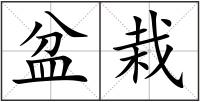 盆栽
