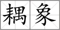 耦象
