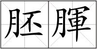 胚腪