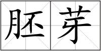 胚芽