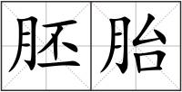 胚胎