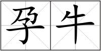 孕牛