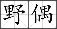 野偶