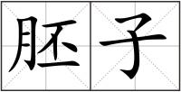 胚子