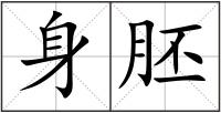 身胚