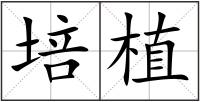 培植