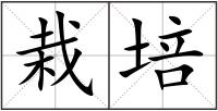 栽培