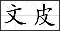 文皮
