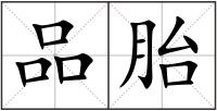 品胎