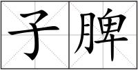 子脾