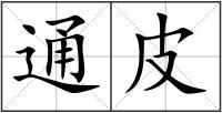 通皮