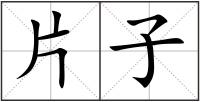 片子