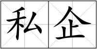 私企