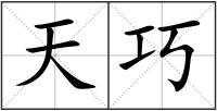 天巧