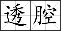 透腔