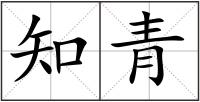 知青