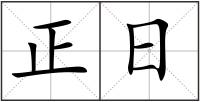 正日