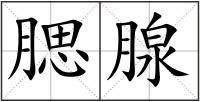 腮腺