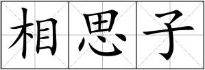 相思子
