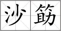 沙筯