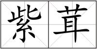 紫茸