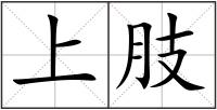 上肢
