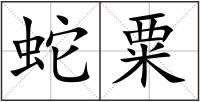 蛇粟