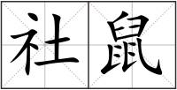 社鼠
