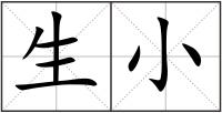 生小