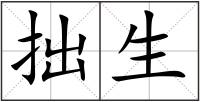 拙生