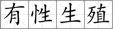 有性生殖