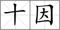 十因