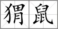 猬鼠