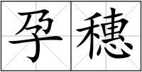 孕穗