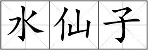 水仙子