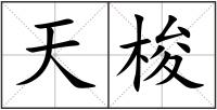 天梭