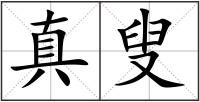 真叟