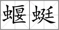 蝘蜓