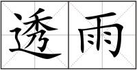 透雨