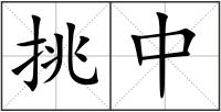 挑中