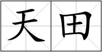 天田