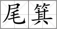 尾箕