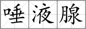 唾液腺