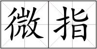 微指