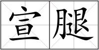 宣腿