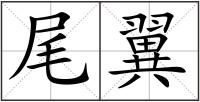 尾翼